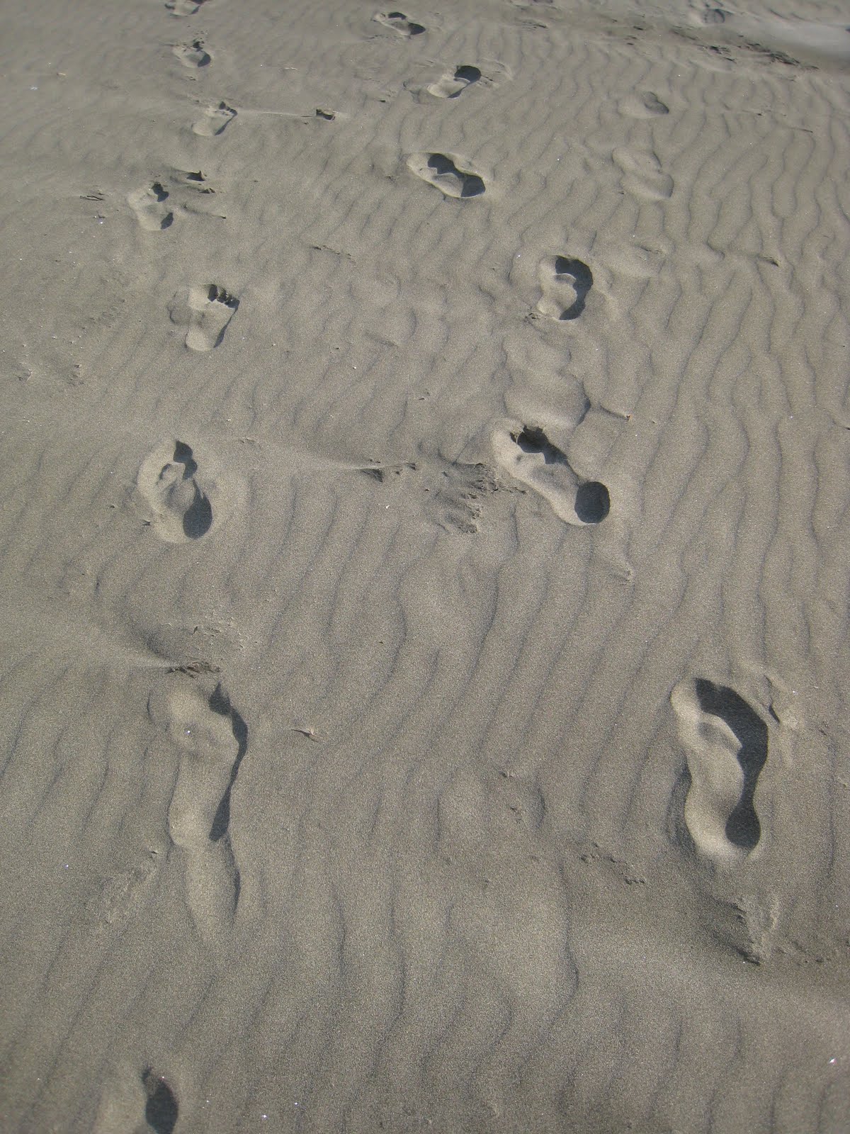 A journey of a thousand miles...