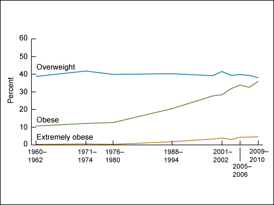 Obesity rates in the US seem to skyrocket starting around 1976. Source: CDC.