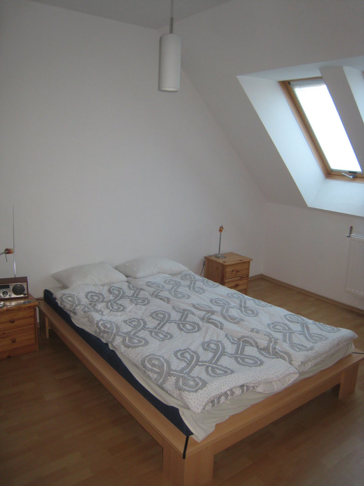 Lovely apartment. No bug nets on any of the windows.