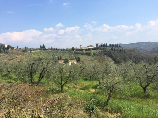 Hiking near Certosa del Galluzzo