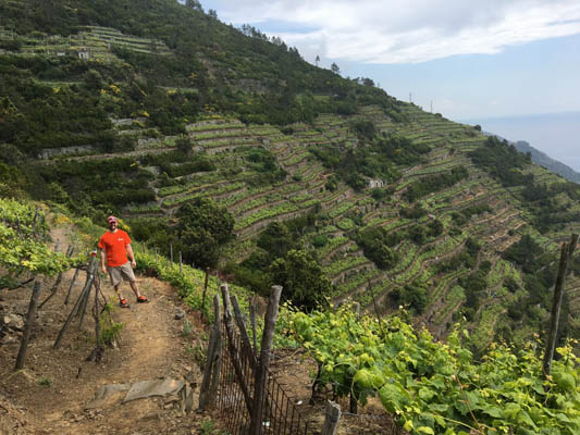 Hiking through the terraced vineyards at Cinque Terre