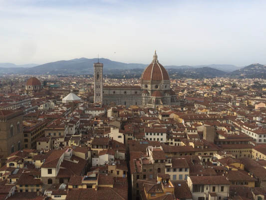 The view of Florence from the Palazzo Vecchio