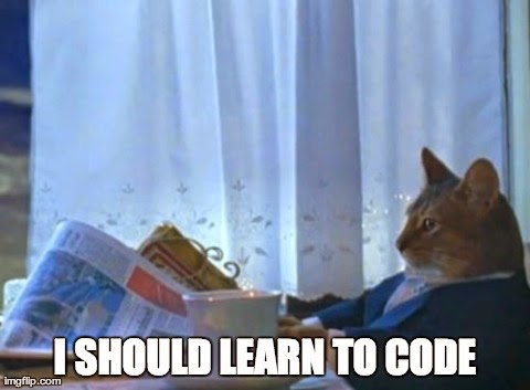 I should learn to code