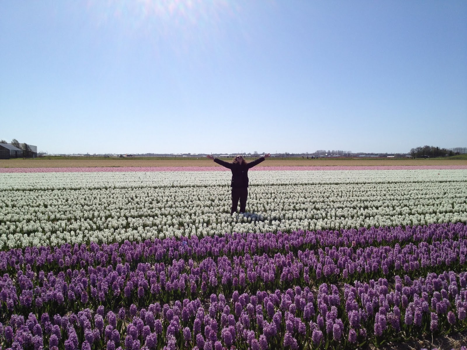 Amsterdam Hackday (April, 2013)