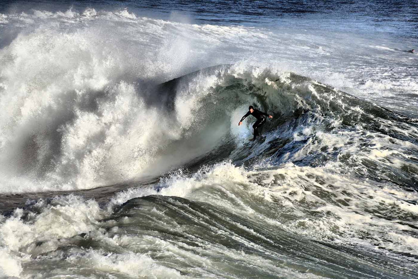 Should I start a company or work for one?